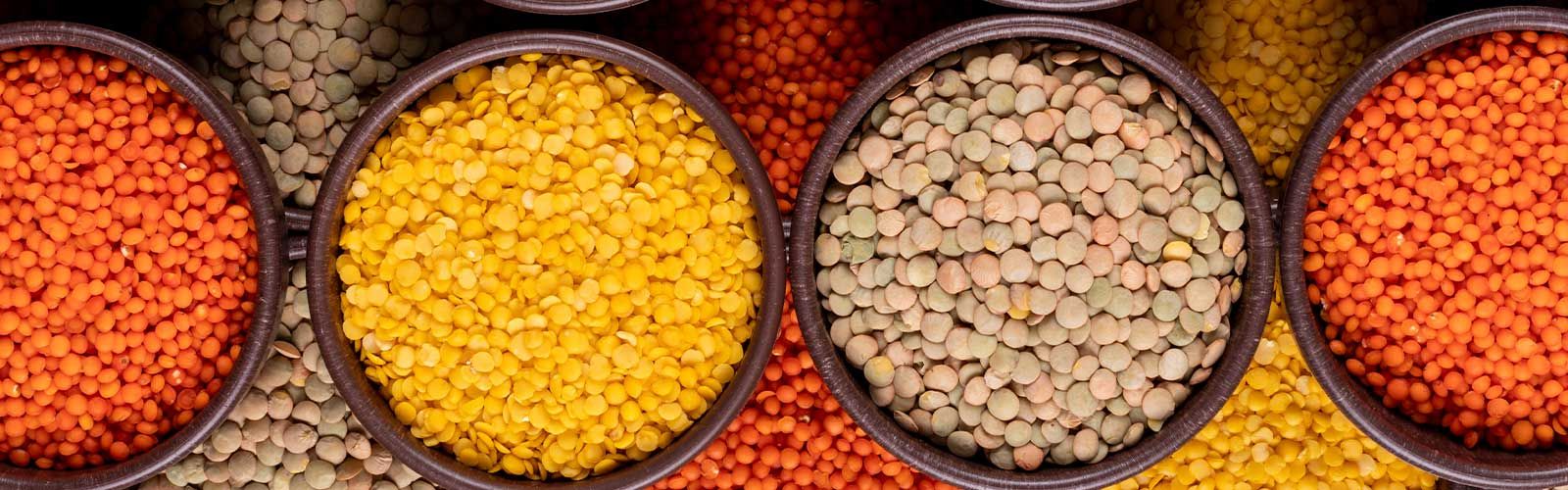 Lentil - Dardanell Grup