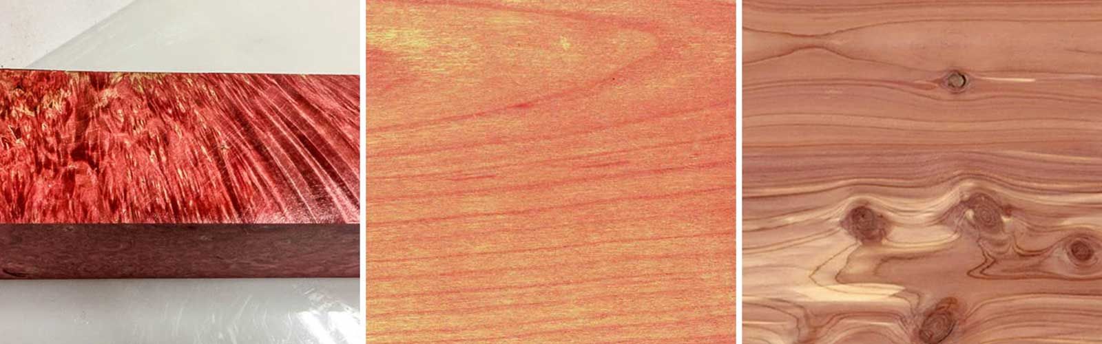 Red Maple - Dardanell Grup