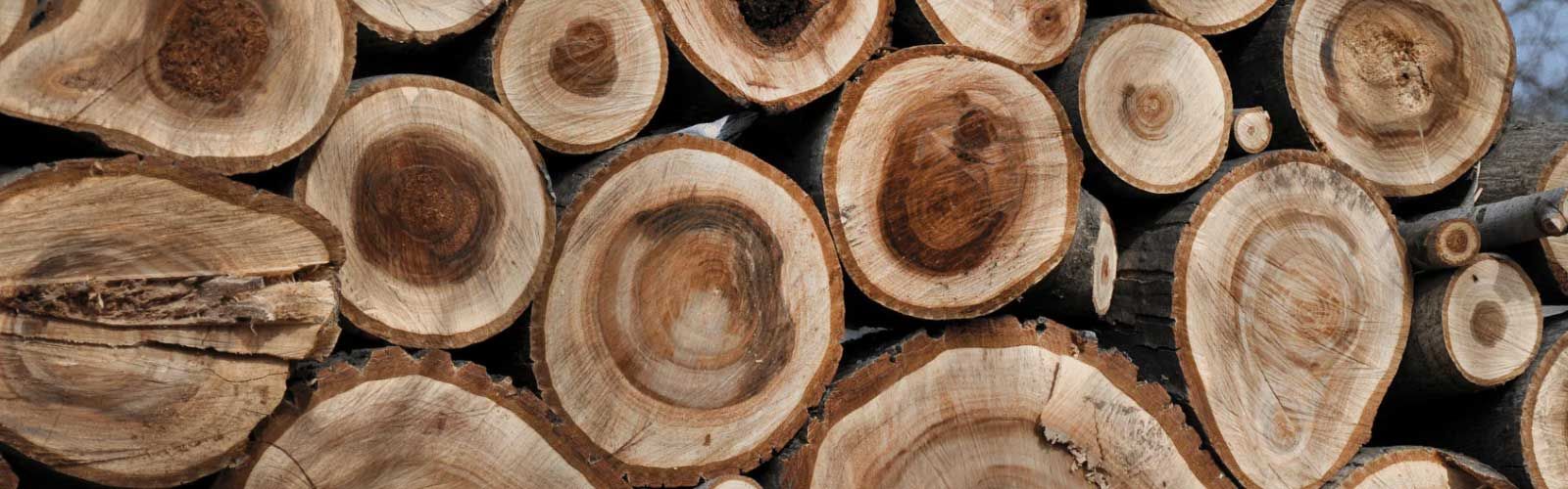 Walnut Tree - Dardanell Grup
