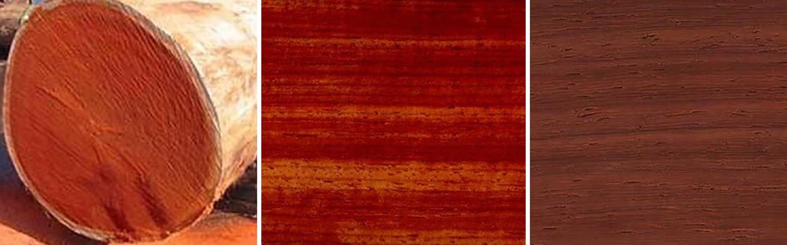 Padauk - Dardanell Grup