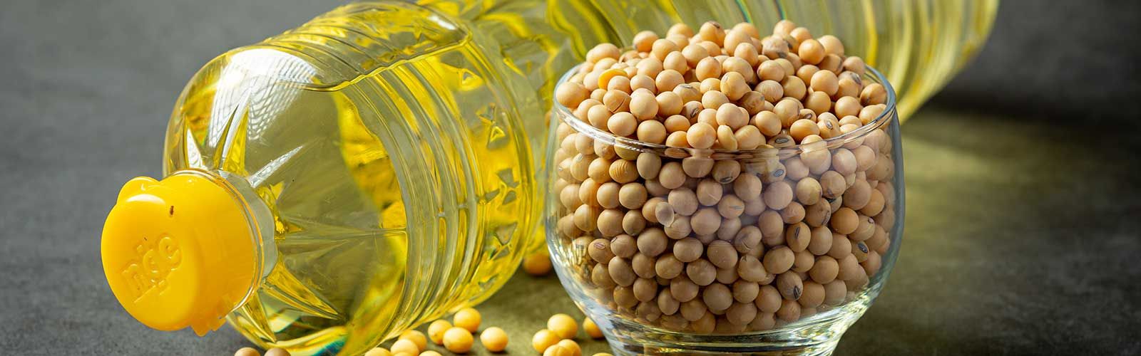 Soyabean Oil - Dardanell Grup