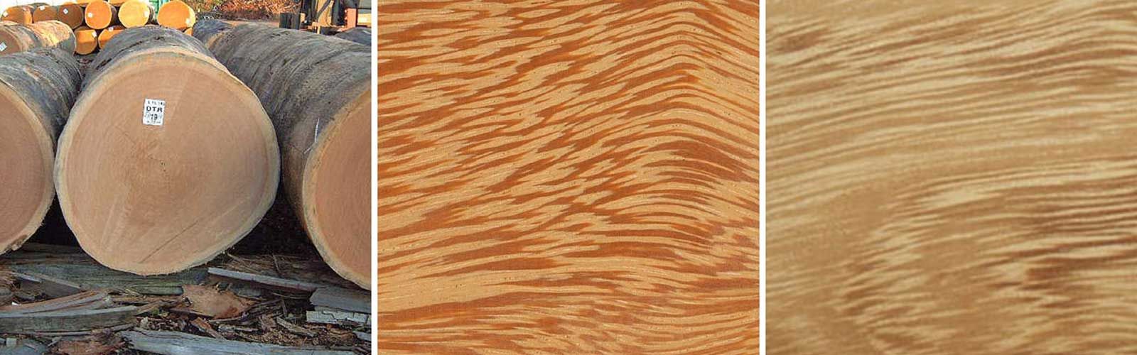 Iroko - Dardanell Grup