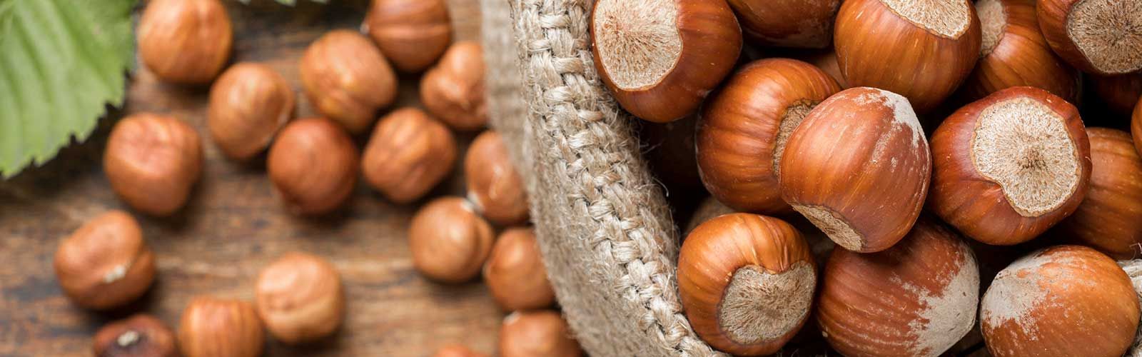 Hazelnut - Dardanell Grup